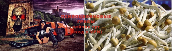 MDMA Кулебаки