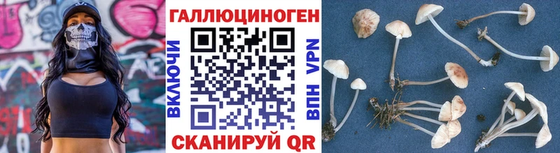 Псилоцибиновые грибы Psilocybe  KRAKEN tor  Красноуфимск  где найти  