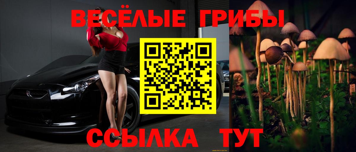 Галлюциногенные грибы Psilocybine cubensis  Вход с VPN  Псилоцибиновые грибы прущие грибы  Красноуфимск 